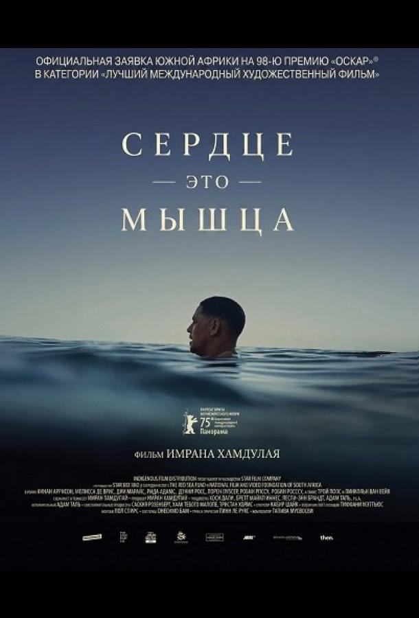 Сердце — это мышца