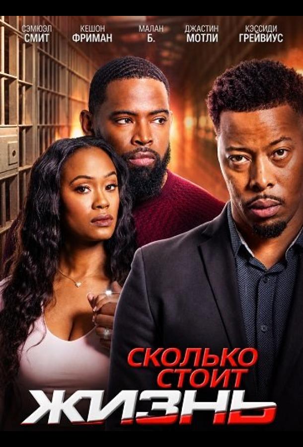 Сколько стоит