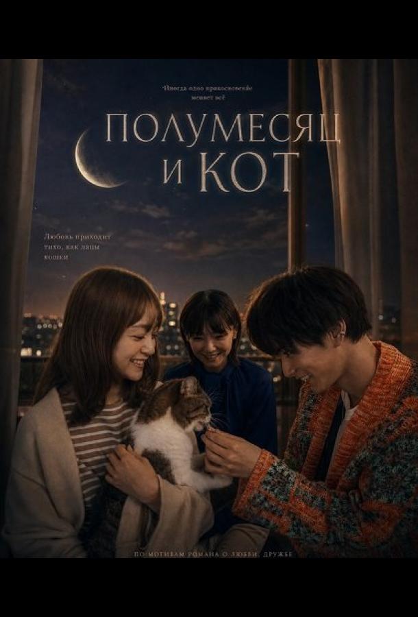 Полумесяц и кот