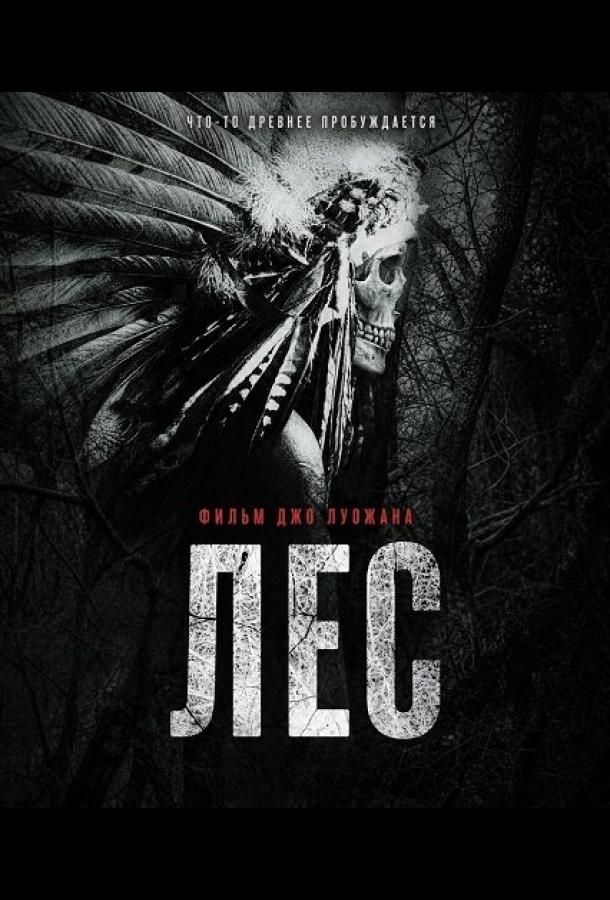 Лес